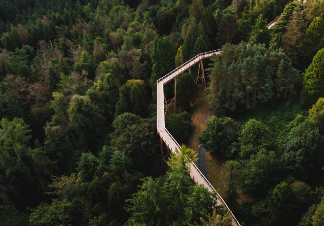 Drone view of the recreational  footbridge elevated to the tree tops  