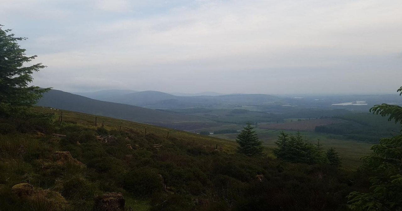 View Towards Co Kildare from Wicklow NP