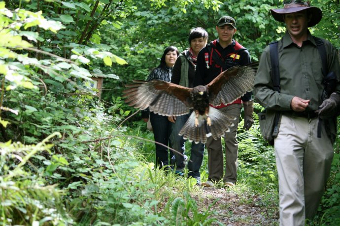 There are plenty of flying displays and opportunities to get close to the birds