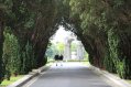 Glasnevin Cemetery also offers beautiful gardens and greenery