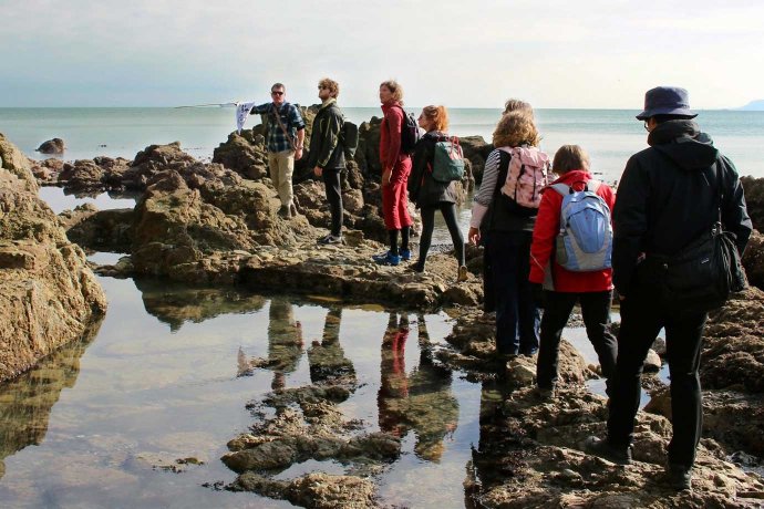 People Walking Around Rock Pools 