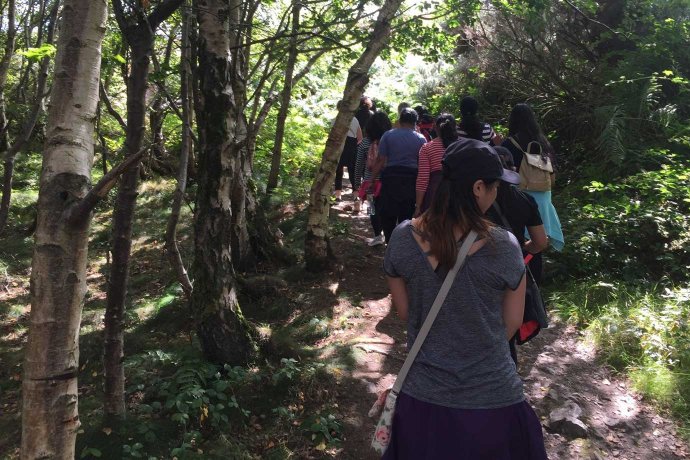 Group of Students Walking Woodland Trail