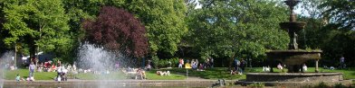 People enjoying a sunny day at the park