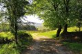 Trails Through Connemaras Nature Surrounding Glengowla Farm and Mines