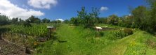 Vast Fields growing organic vegetables