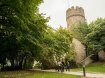 Group of tourist wander outside the castle - 260 Acres to explore 