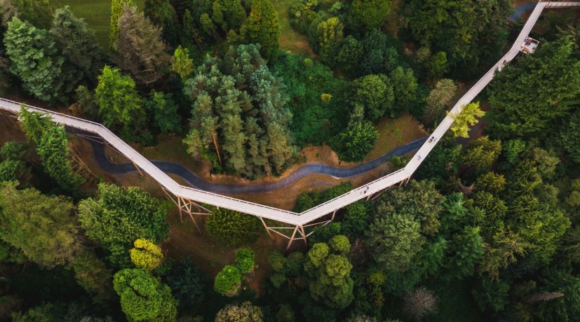Drone View of the Wooden Footbridge Among the Trees with a small river flowing alongside