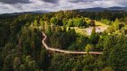 Drone view of the woodland hills, treetop footbridge and buildings around Avondale 