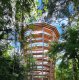 Wooden and steel lightweight constructed modern build viewing tower among the trees