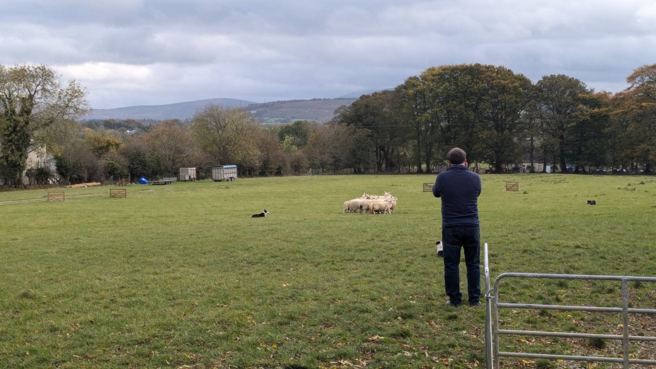 View of the Wicklow Mountains form the Sheepdog Demonstration Grounds 