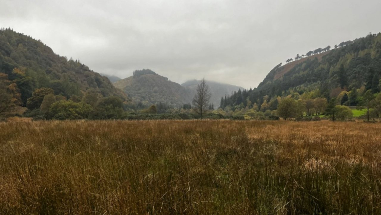 Wicklow Mountains National Park 