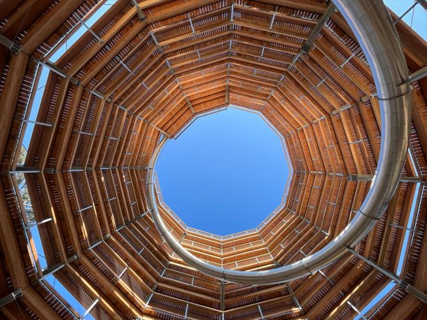 View from Inside the Slide Tower In Avondale Valley - Beyond The Trees Park