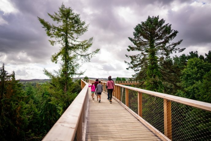 Treetop Walk Attraction for Student Groups in Wicklow in Ireland