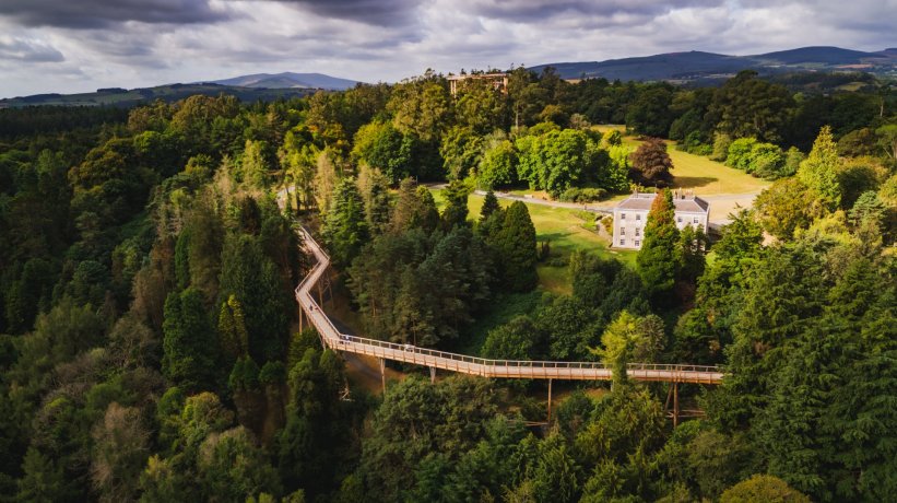 Aerial View of the Treetop walk in Avondale Park 