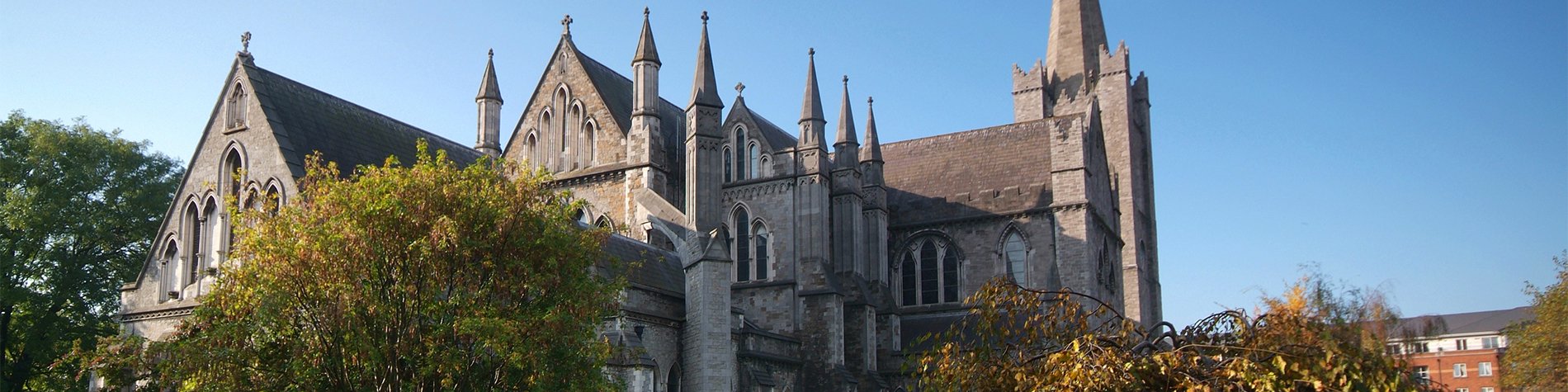 View of  Christ Church Cathedral - Dublin