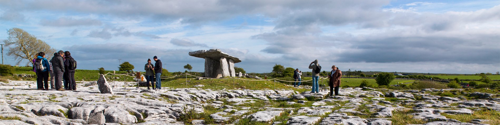 9 Attractions Educating About Irish Nature in the Burren and More
