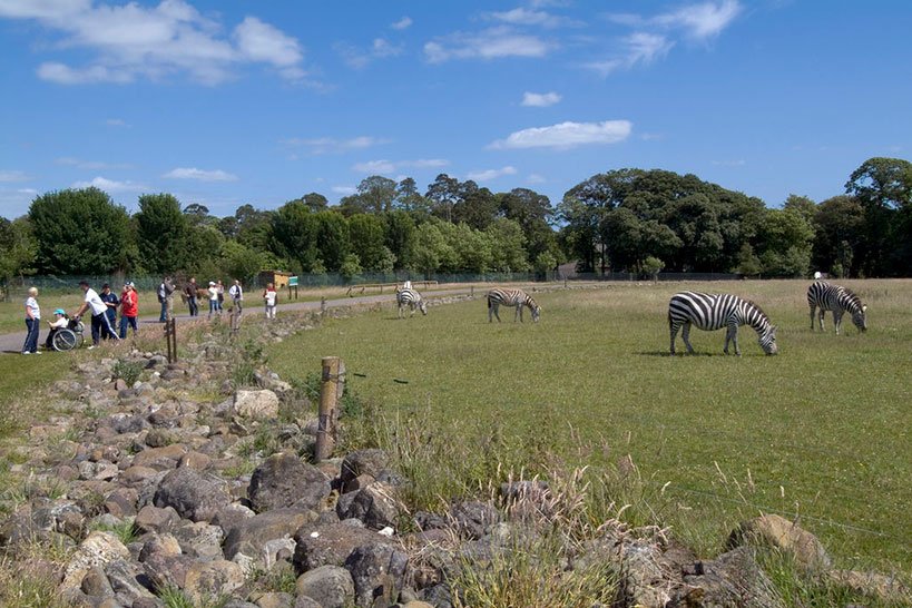 Irish Nature and Animals at Fota Wildlife Park