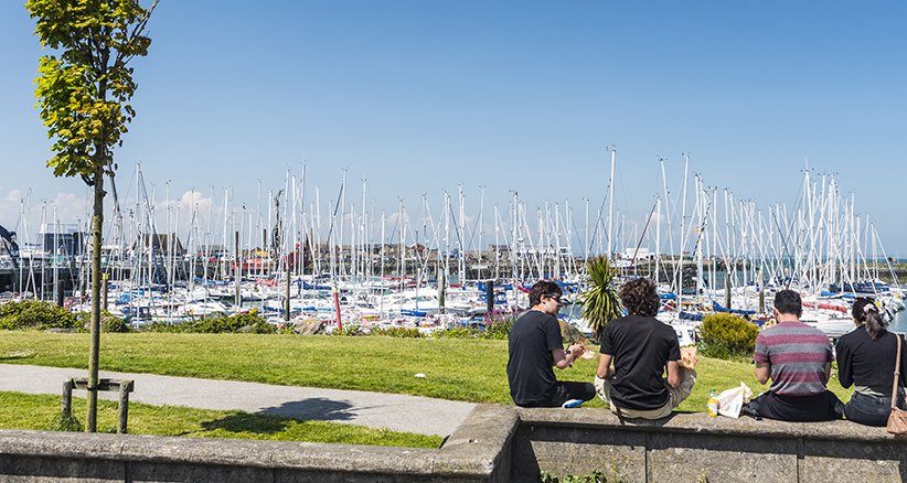 Howth Yacht Marina - Sunny Day By The Coast