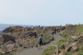 People on Approach to Giant's Causeway
