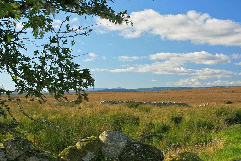 Irish Culture Centre at Cnoc Suain 