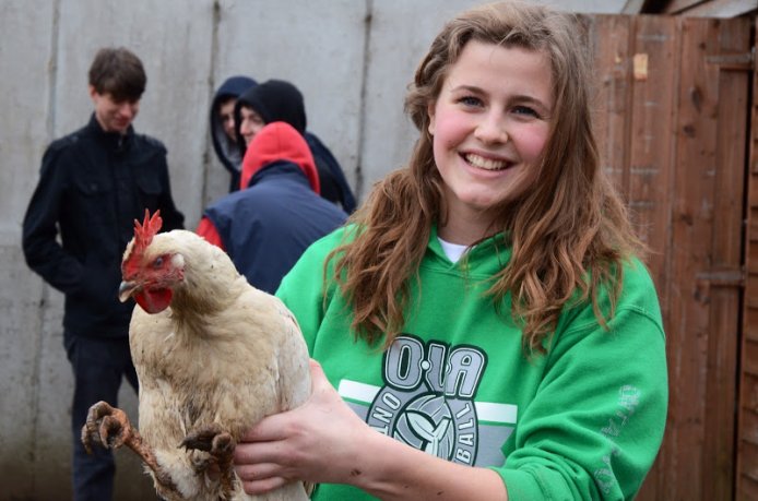 A young student girl with a hen in her hands in Ireland