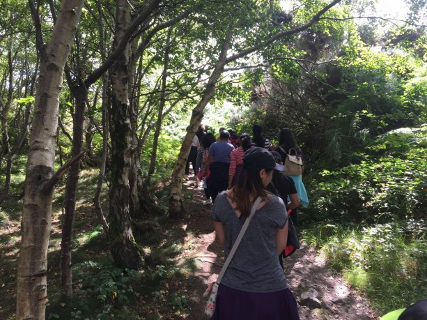 Group of students walking in the woods